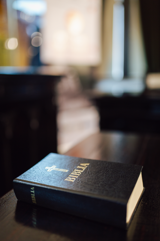 Procesul comunistilor